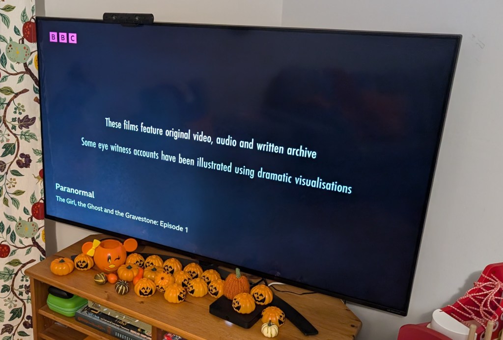 TV screen showing disclaimer "Some eye witness accounts have been illustrated using dramatic visualisation"